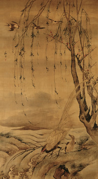 柳禽白鷴圖