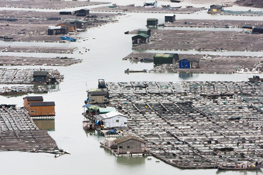 霞浦海水养殖