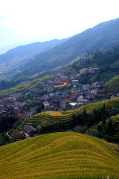 龙脊梯田 高格