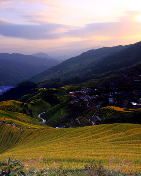 龙脊梯田 高格