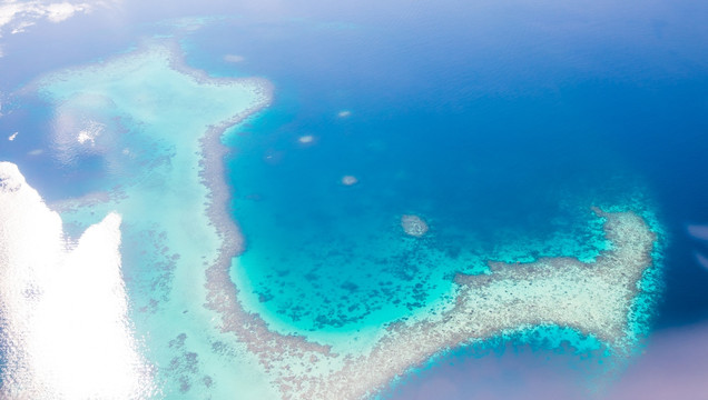 大海 海岸