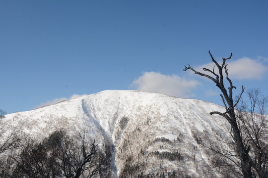 雪国银山