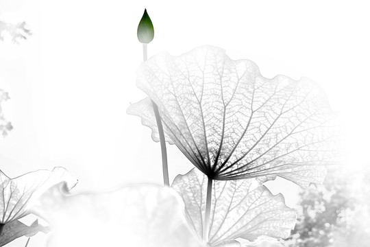 一點(diǎn)紅裝飾畫