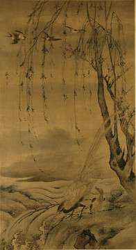 柳禽白鷴圖