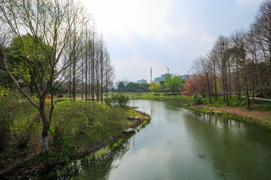 自然湿地