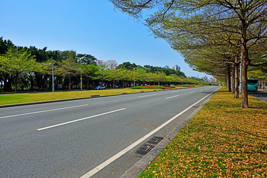 深南大道