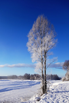 冰河冰雪风光