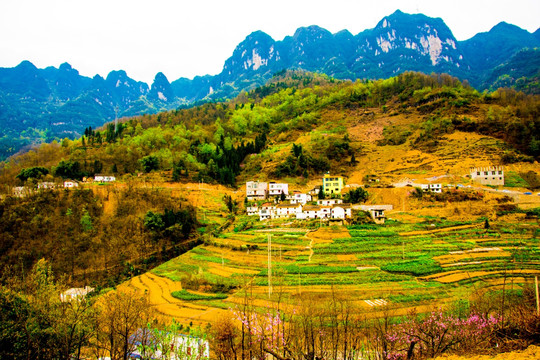 山村 大山