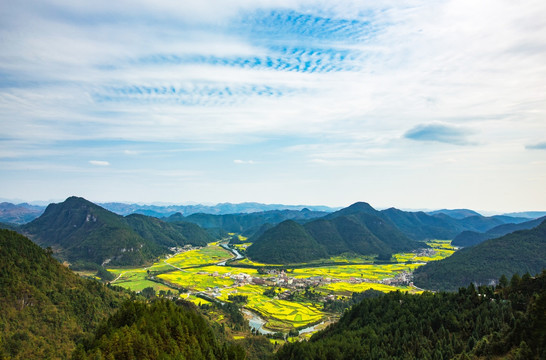 草原