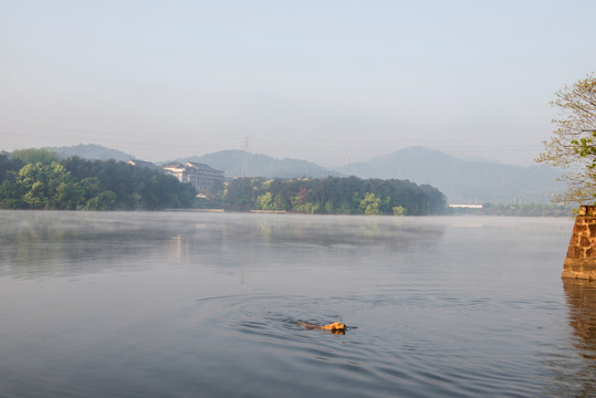 小湖风光