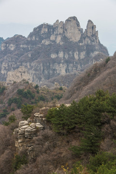 高高的王莽岭