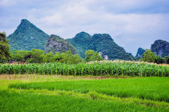 田园春色