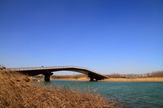 马踏湖湿地公园