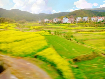 乡村风景油画般