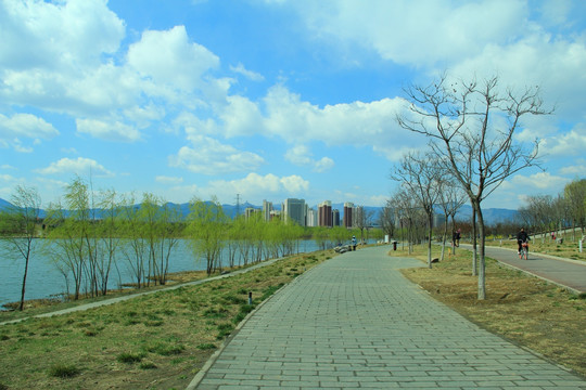 郊野道路