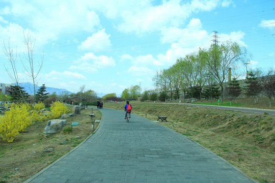 公园道路