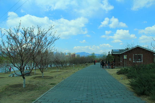 郊野道路