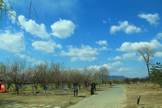 郊野公园