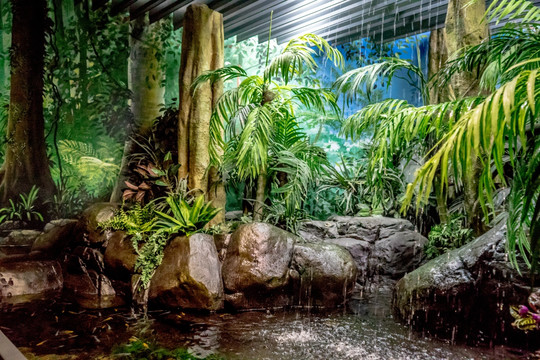 水族馆场景 生态系统模拟 自然