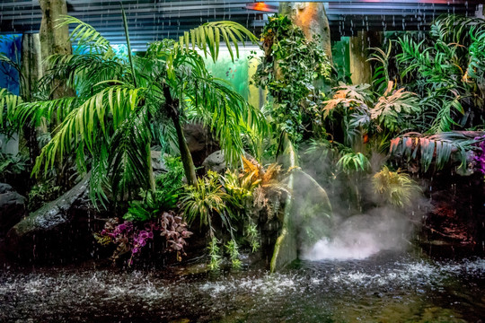 水族馆场景 生态系统模拟