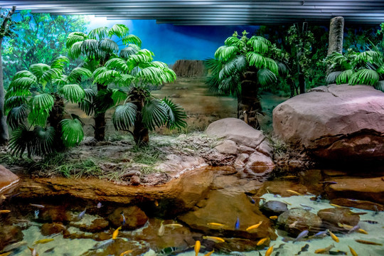 水族馆场景 生态系统模拟