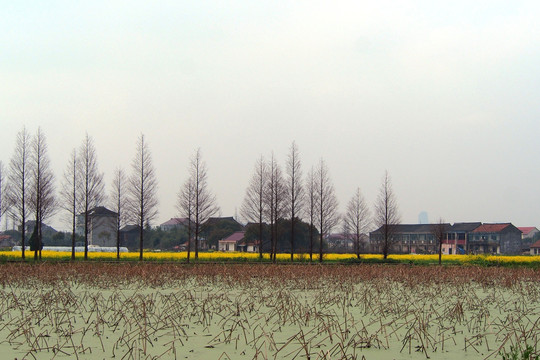 江南水乡风景