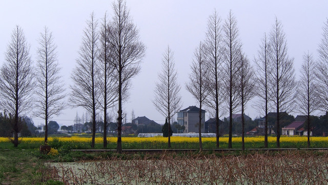 江南水乡风景