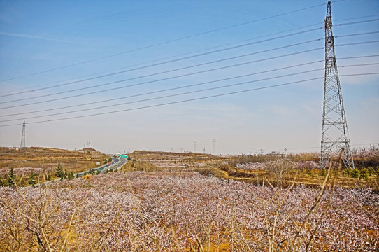 田野高压线塔