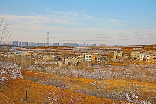 田野高压线