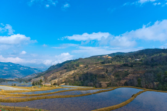 元阳梯田