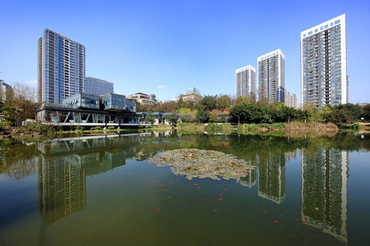 重庆品湖广场 湖景建筑