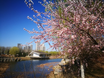 潞城中心公园
