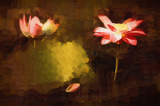 油畫(huà)荷花 無(wú)框畫(huà)