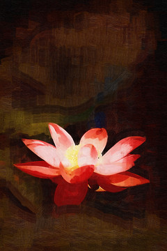 油畫(huà)荷花 無(wú)框畫(huà)