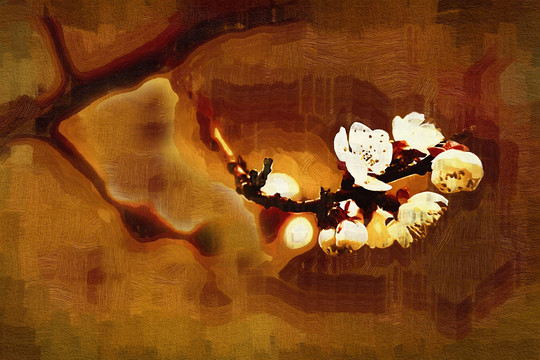 梅花裝飾畫(huà) 無(wú)框畫(huà)