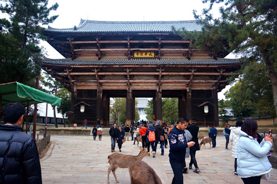 日式古建筑