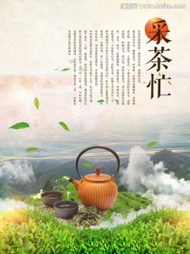 采茶海报