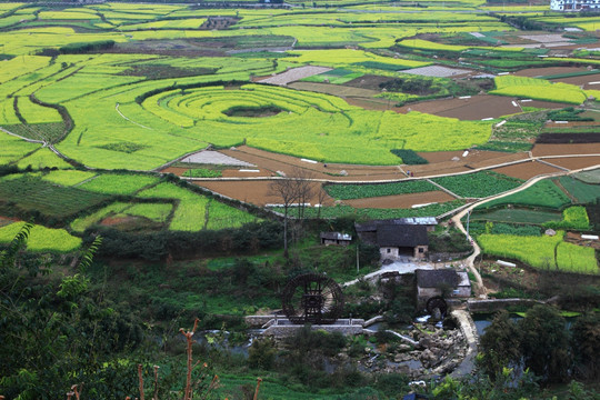 万峰林八卦田