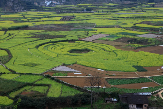 万峰林八卦田