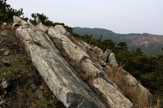 龙传寨风景