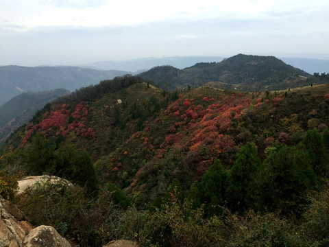 红叶 远山 秦岭 秋色 山峦