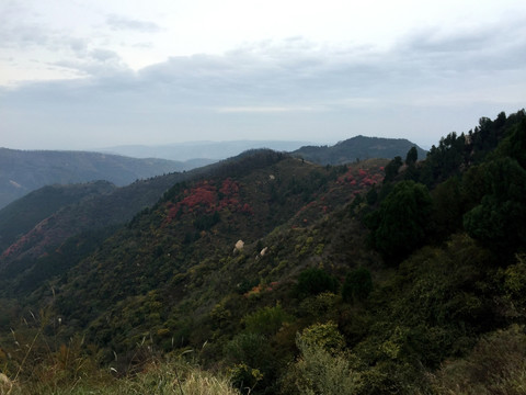 红叶 远山 秦岭 秋色 山峦