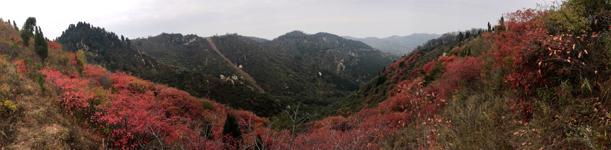 红叶 远山 秦岭 秋色 山峦