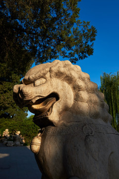 北京北海公园石狮子