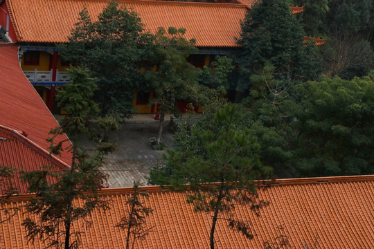 庭院 古代 建筑 历史 房子