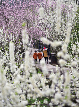 乡村旅游