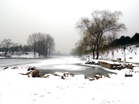 圆明园茜园雪景