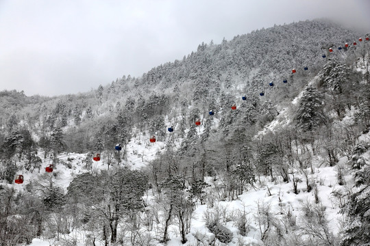 雪景