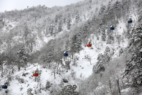 雪景