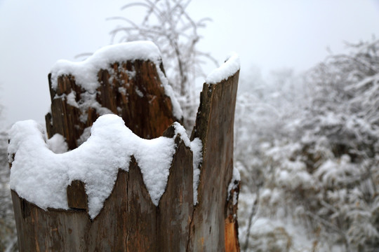 雪景